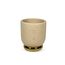 Vaso-Decorativo-Em-Ceramica-Texturizado-Bege-Detalhe-Dourado